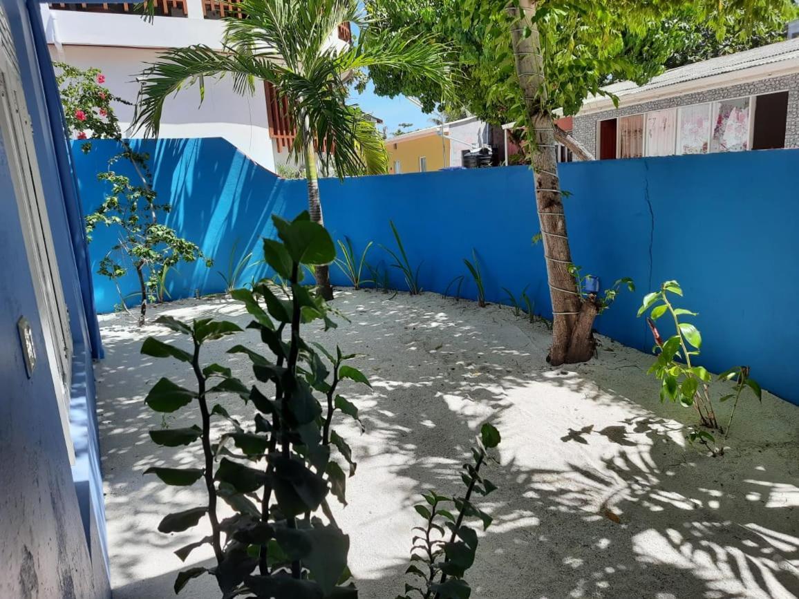 Royal Beach Dhigurah Dhigurah  Εξωτερικό φωτογραφία